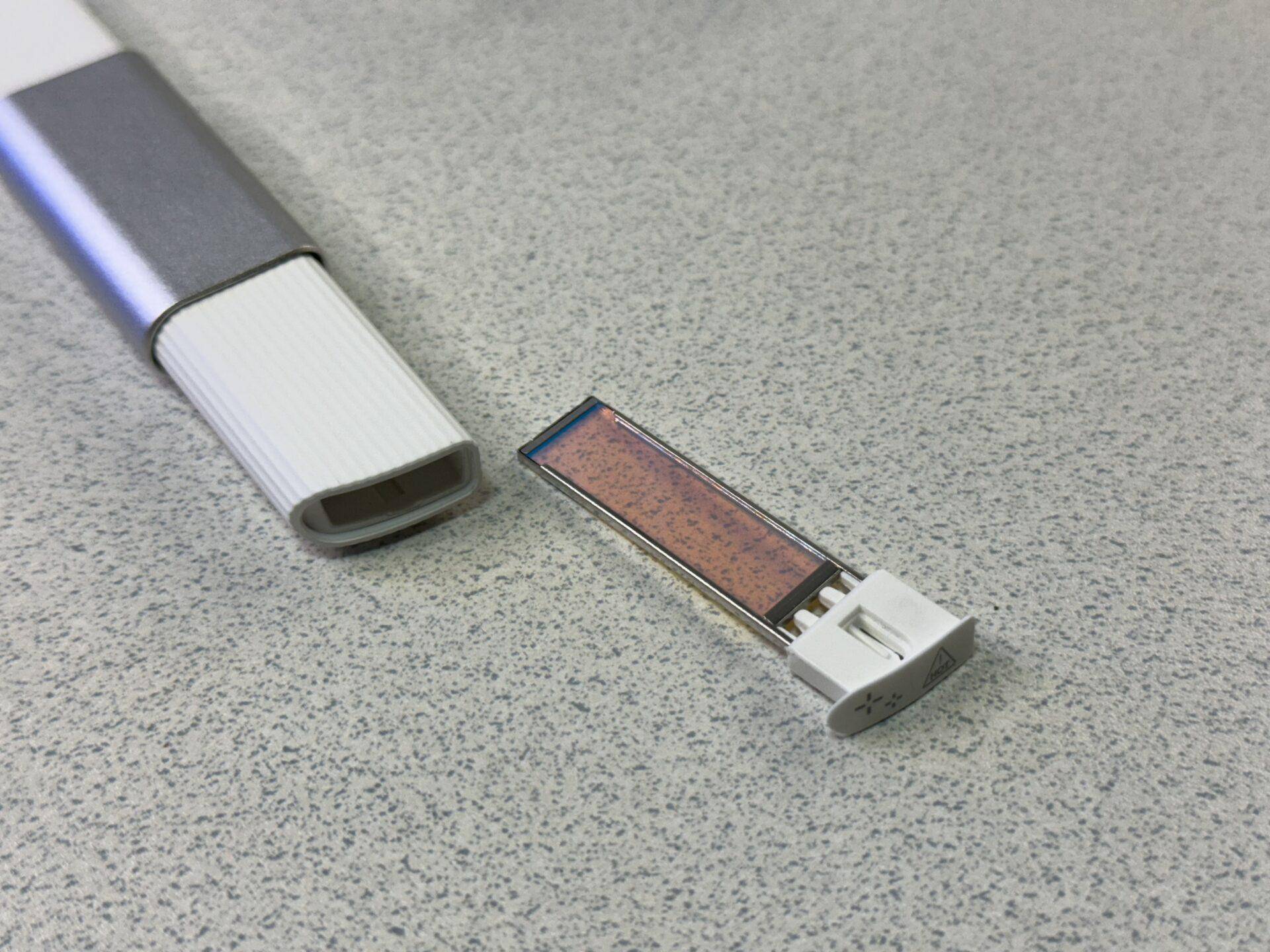 2024-03-03-11.59.28 【家庭用脱毛器】メンズレディース兼用でVIOにも使える実際の効果を検証レビュー